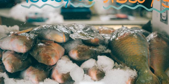 Fish at the Moselle Market in Noumea