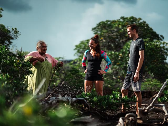 ヴォーのマングローブ・ウォーク