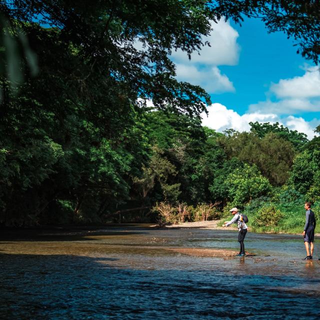 Fly fishing on the Pouembout river
