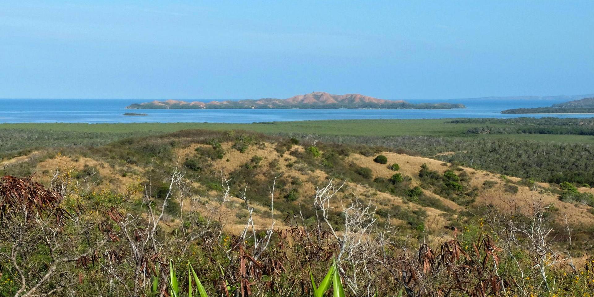 ニューカレドニア極北のポインガム