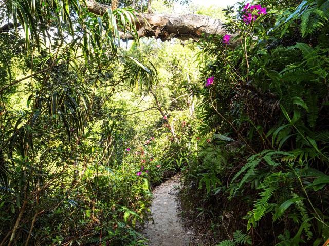 Path of the Tao waterfall in Hienghène