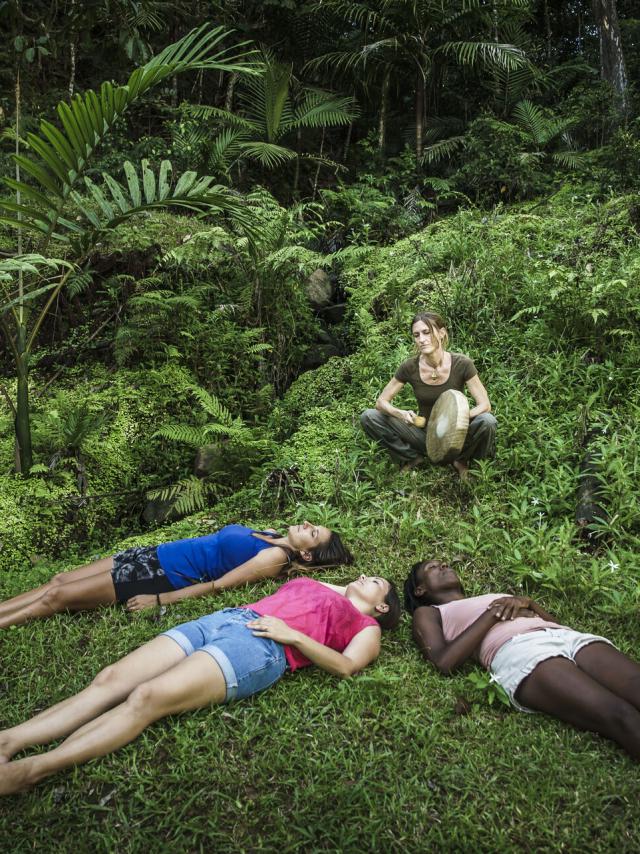 Forest bath at Parc des Grandes Fougères