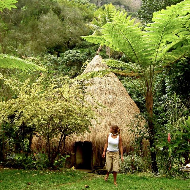 Hut de la Tribu de Tendo, Hienghène