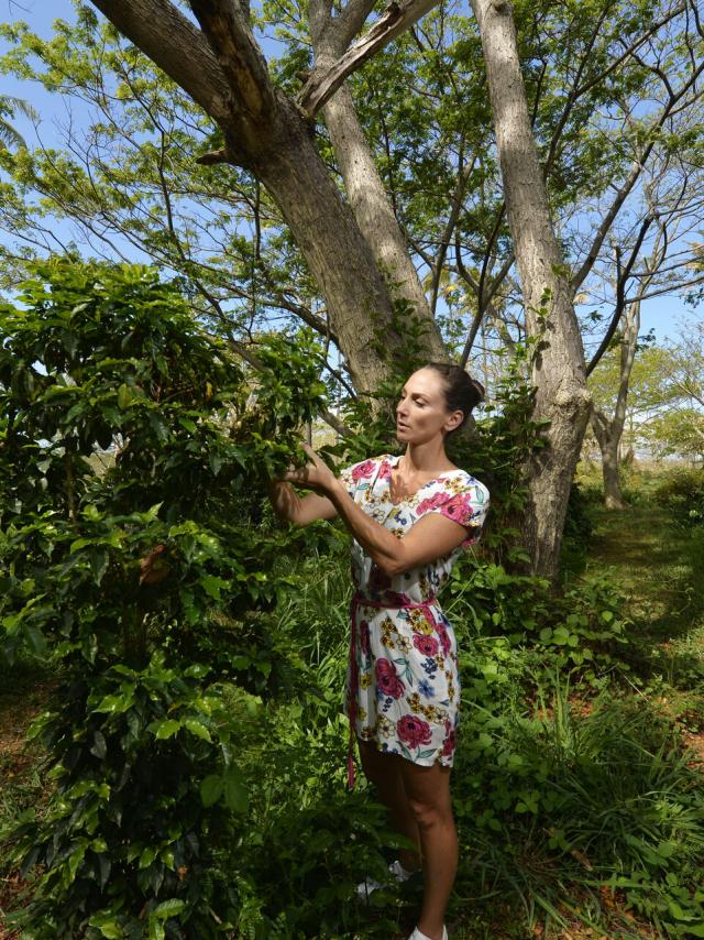 ニューカレドニアのコーヒー