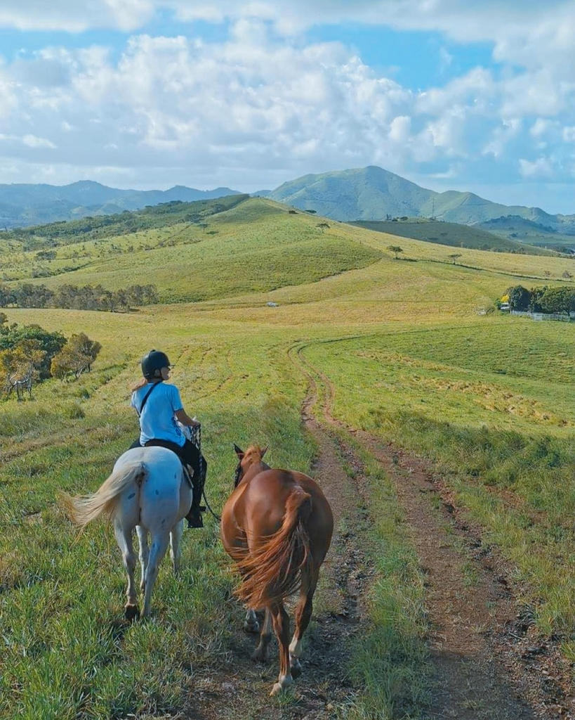 Instagram #nouvellecaledonie