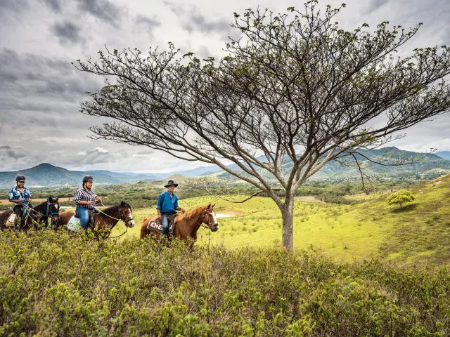 Trois cavaliers à cheval traversent les paysages vallonnés de Ouano, sous un grand arbre et un ciel nuageux.