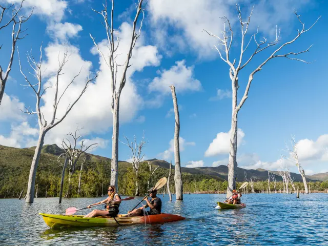 Des visiteurs pagaient en kayak sur la forêt noyée du Parc provincial de la Rivière Bleue, au milieu des troncs d’arbres émergés.