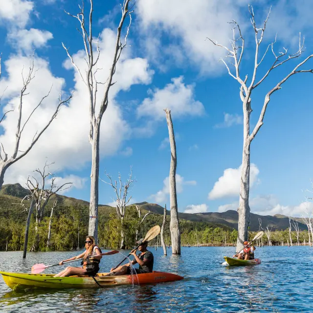 Visitors paddle kayaks through the drowned forest in Blue River Provincial Park, surrounded by striking tree trunks rising from the water.