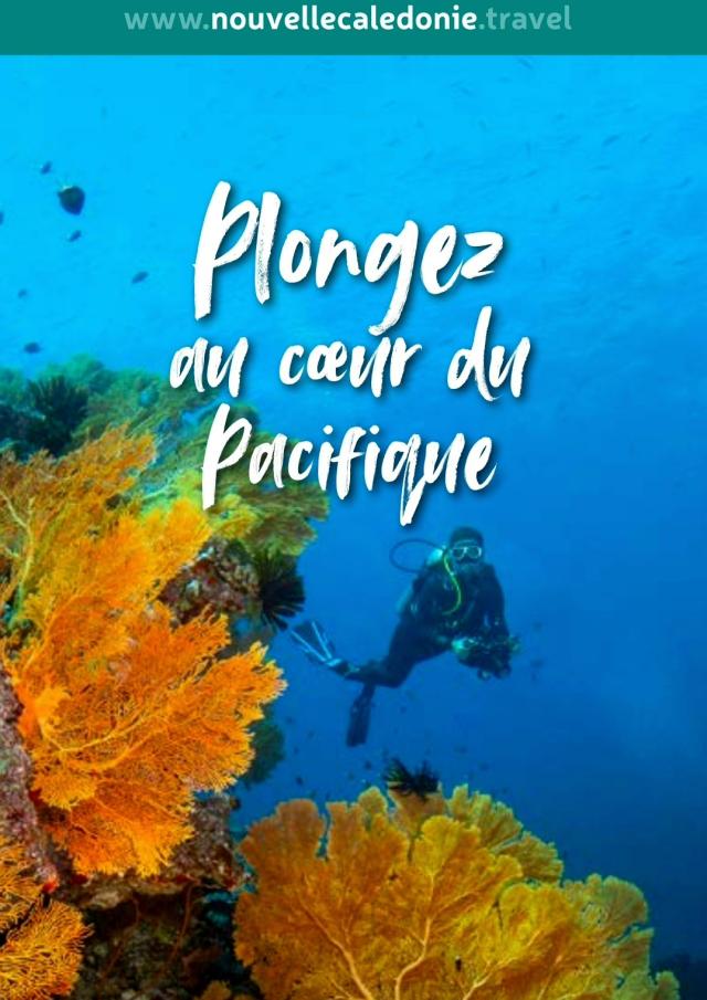 Brochure plongée en Nouvelle-Calédonie