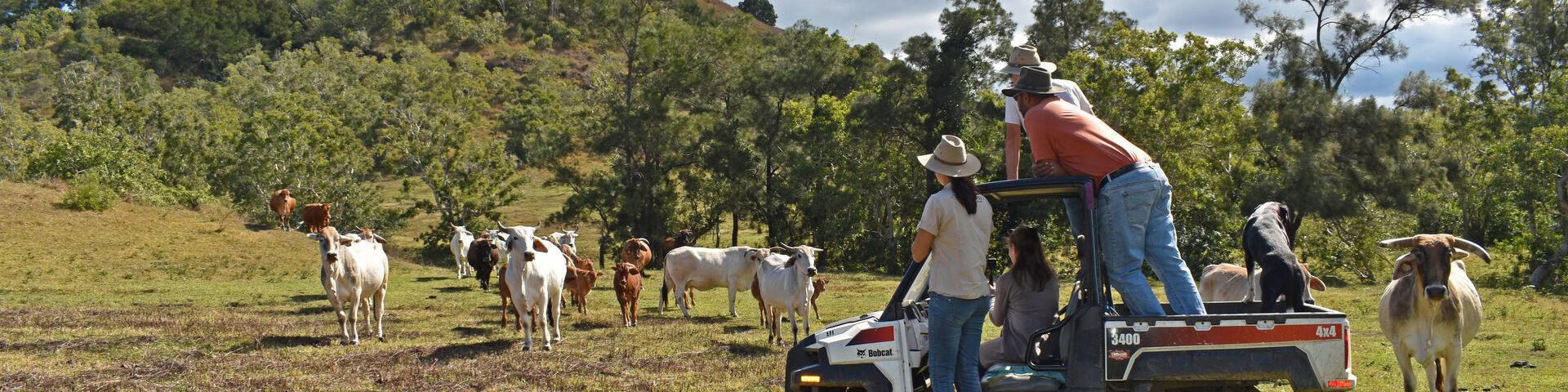 Visit to a West Coast working farm