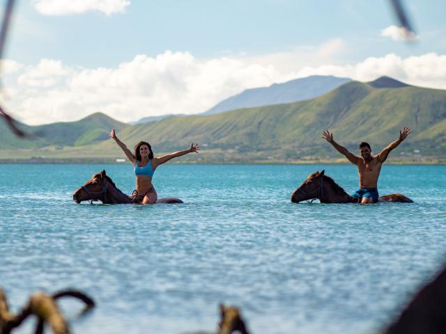 Swimming with horses, New Caledonia