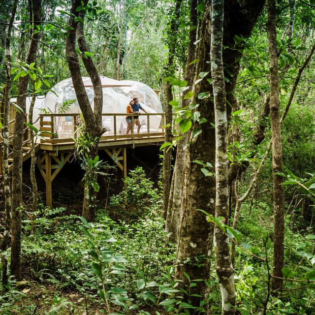 Les Bulles de Farino en Nouvelle-Calédonie