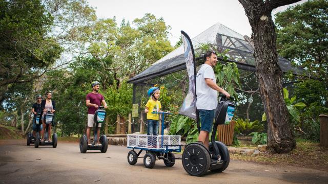 Gyropod at the Nouméa Zoological and Forest Park