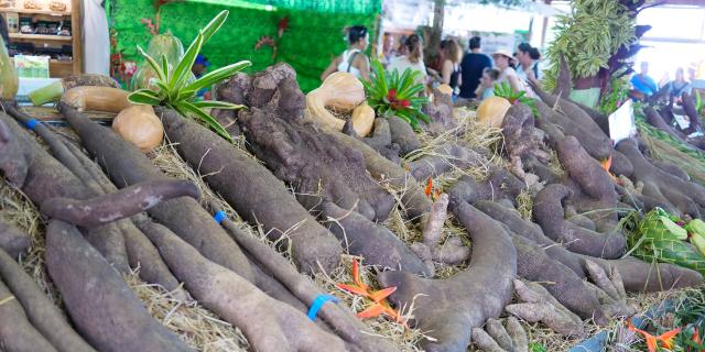 Yams from New Caledonia