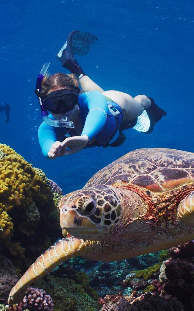 ニューカレドニアのラグーンでカメとシュノーケリング