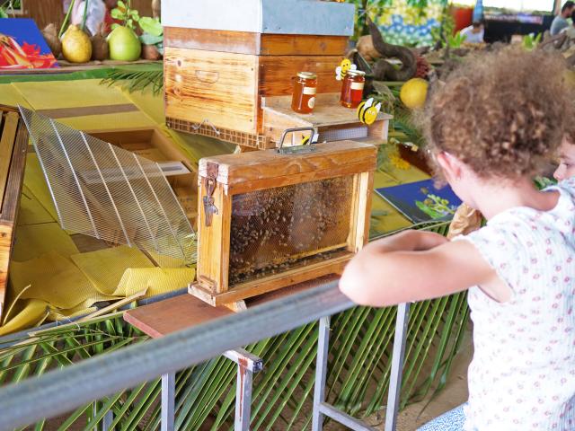 Beehive in New Caledonia