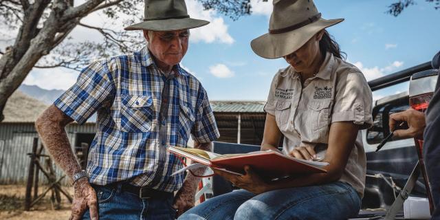 Stockmen in Bourail, New Caledonia