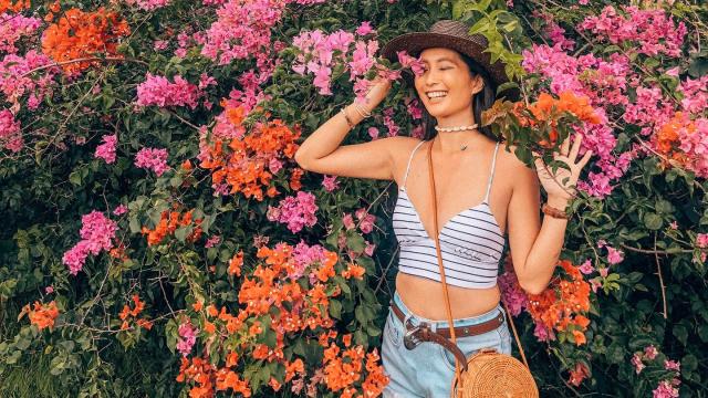 Bougainvillea in New Caledonia