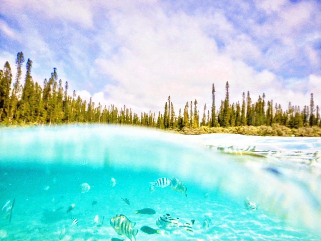 Instagram #nouvellecaledonie