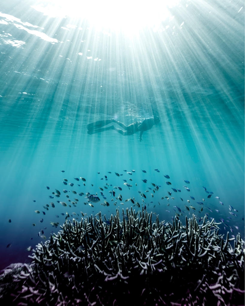 Instagram #nouvellecaledonie