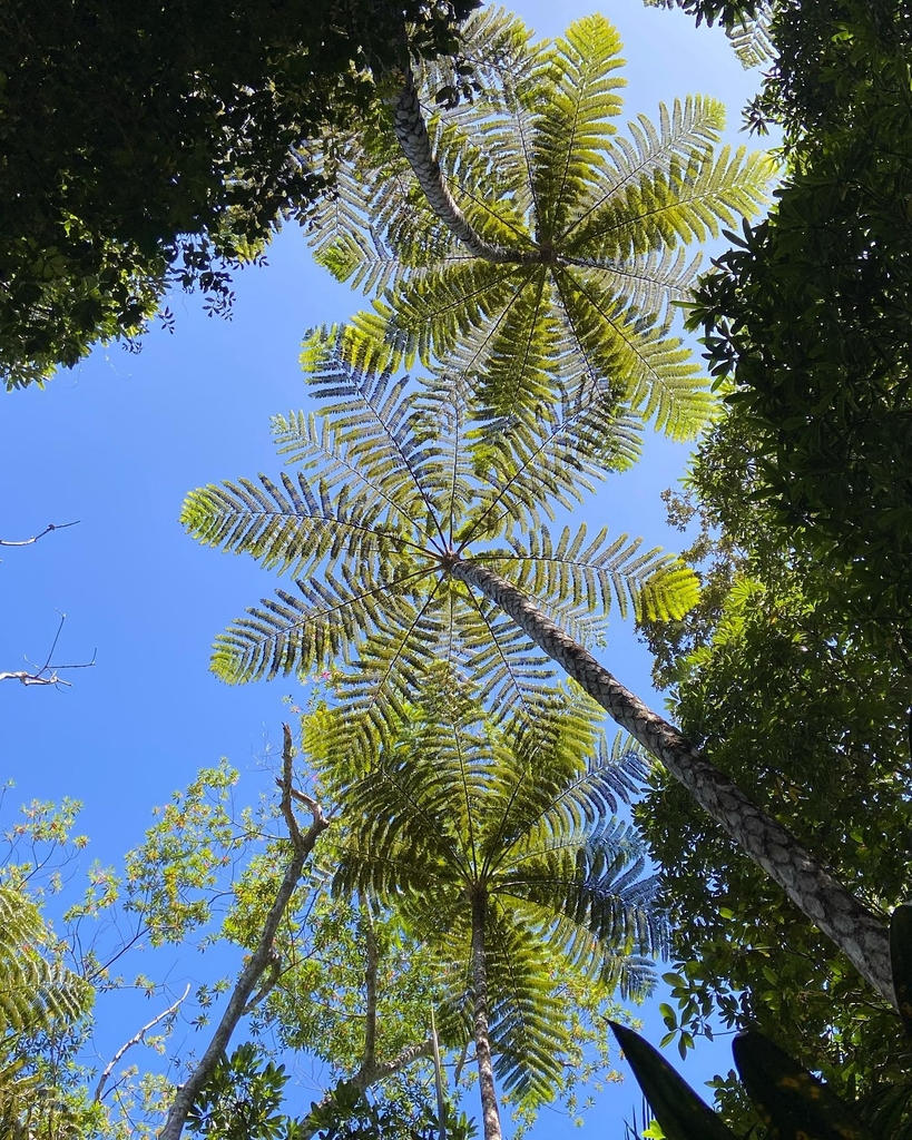 Instagram #newcaledonia