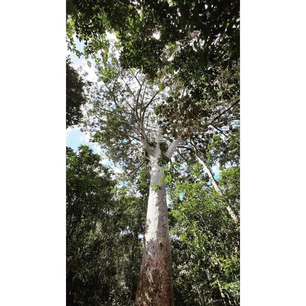 Instagram #nouvellecaledonie