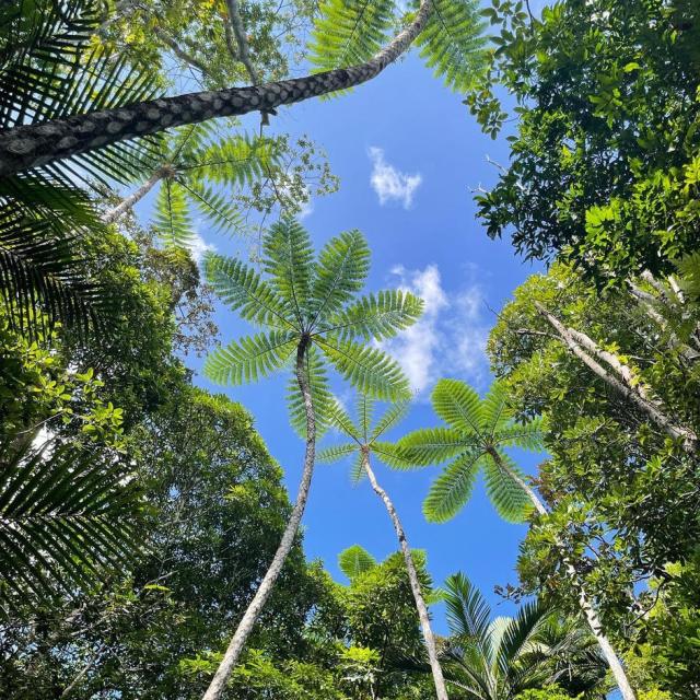 Instagram #newcaledonia