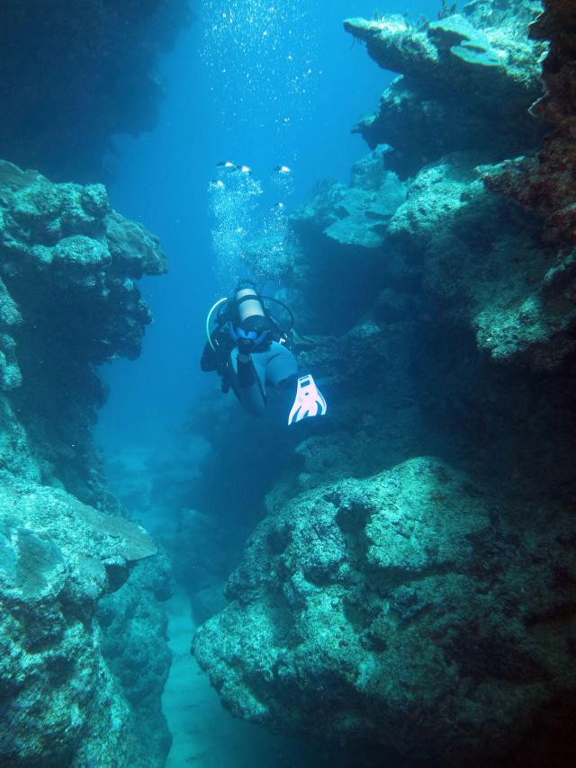 Diving in Bourail