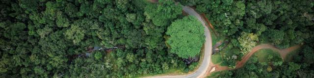 Transversal road in the New Caledonia Range