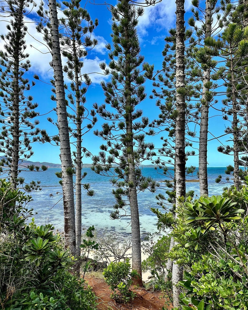 Instagram #nouvellecaledonie