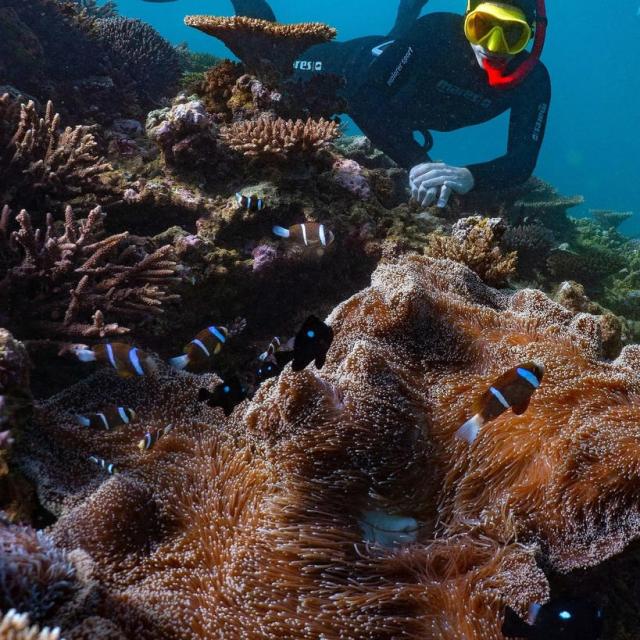 Instagram #newcaledonia