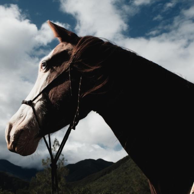 Instagram #newcaledonia