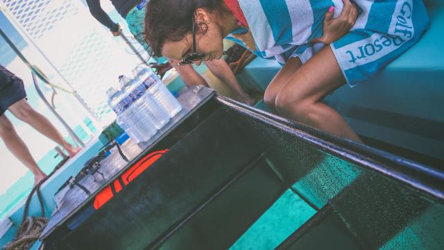 Glass-bottom boat trip to Poé, New Caledonia