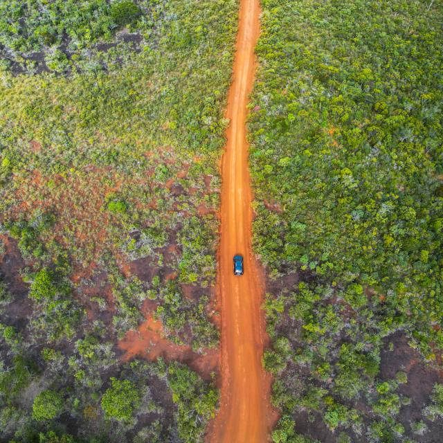 Roadtrip in the Deep South