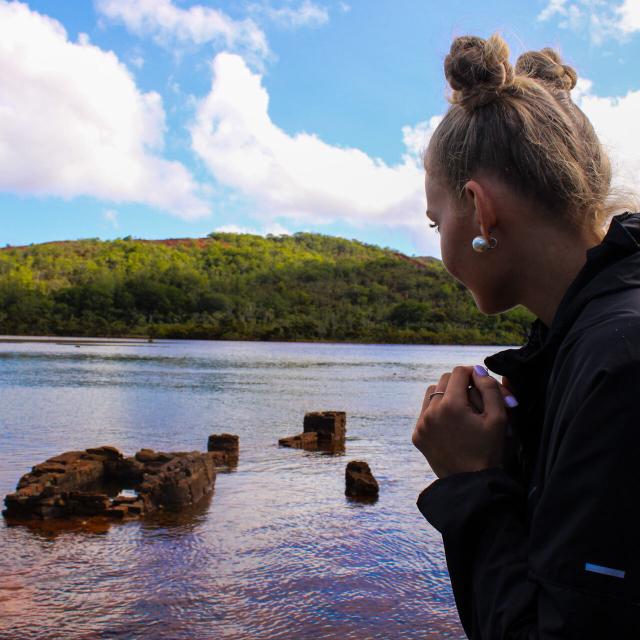 Prony thermal springs