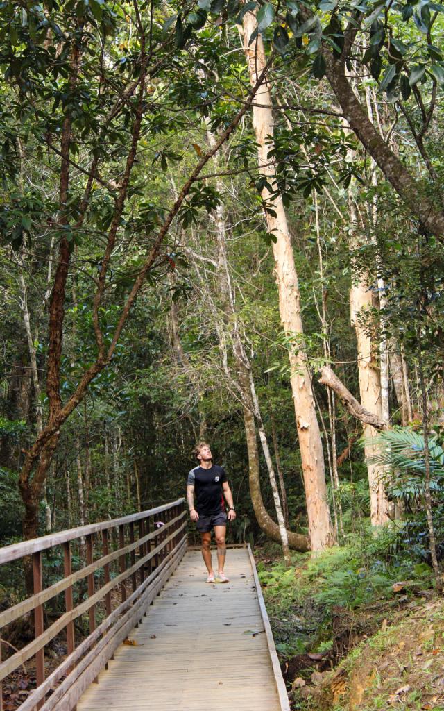 Stroll in the Parc des Grandes Fougères
