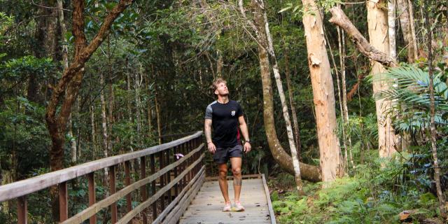 Balade au Parc des Grandes Fougères