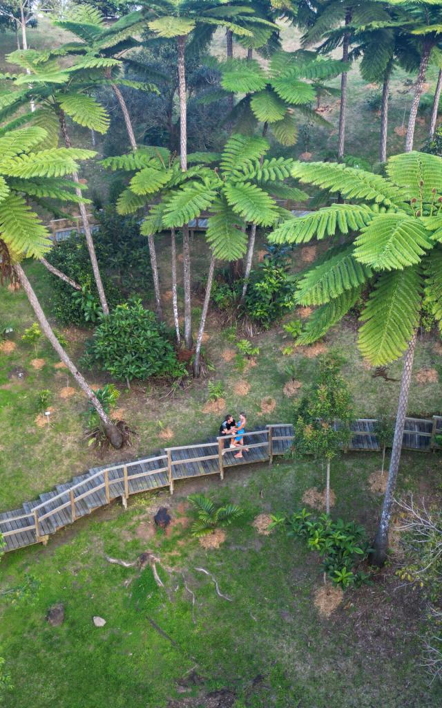 Stroll in the Parc des Grandes Fougères