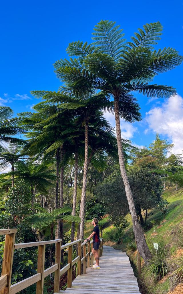 Walk in the Parc des Grandes Fougères