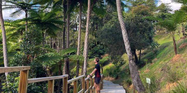 Balade au Parc des Grandes Fougères