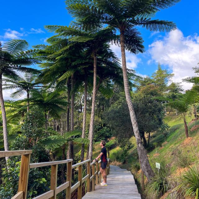 Great Ferns Park in Farino