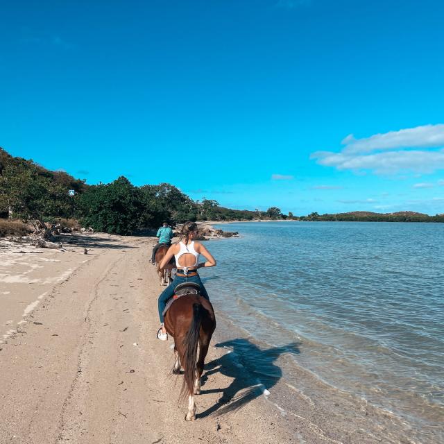 Horseback riding on Ouano beach