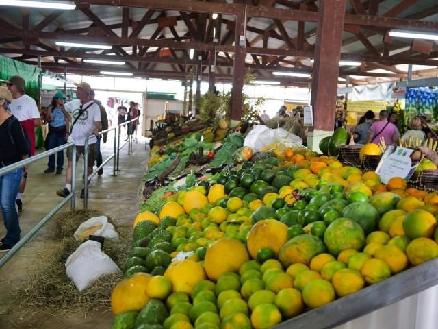 Walk Foire De Bourail Auriane Demeusy2