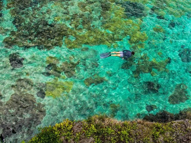 Snorkelling in Jokin, Lifou island