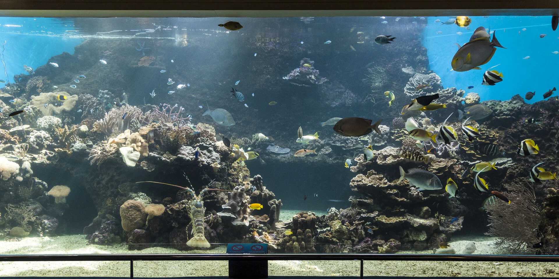 Aquarium Elissalde Arnaud2