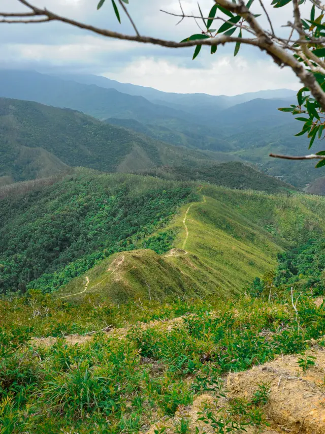 GR® Nord hiking trail in New Caledonia