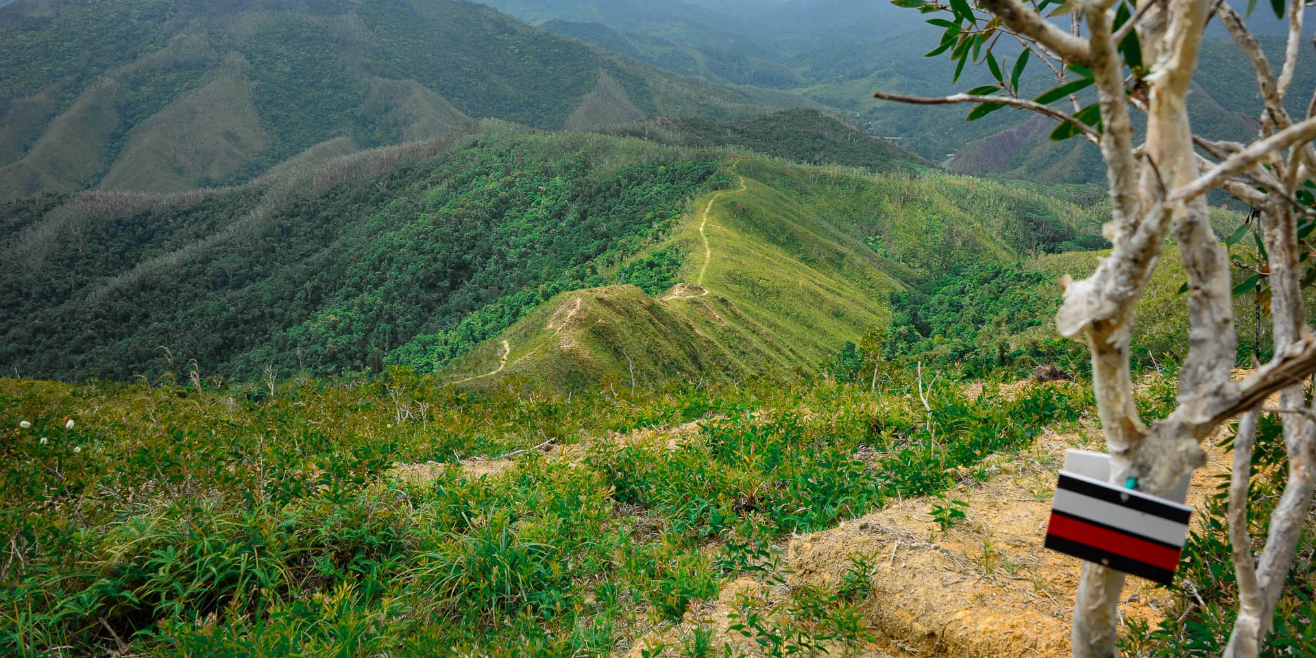 Parcourir les sentiers de Grande Randonnée dans le Nord de la Nouvelle-Calédonie
