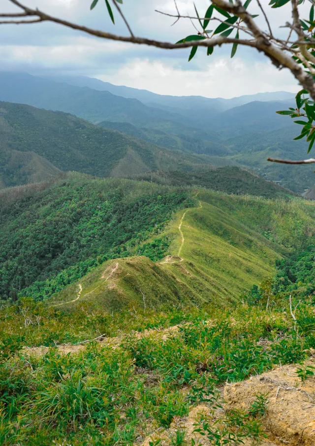 Parcourir les sentiers de Grande Randonnée dans le Nord de la Nouvelle-Calédonie