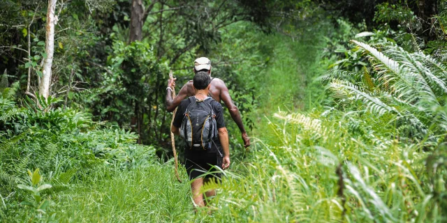 Parcourir les sentiers de Grande Randonnée dans le Nord de la Nouvelle-Calédonie