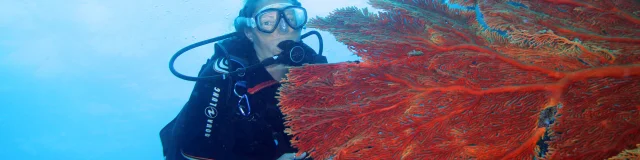 Diving in the lagoon, Isle of Pines
